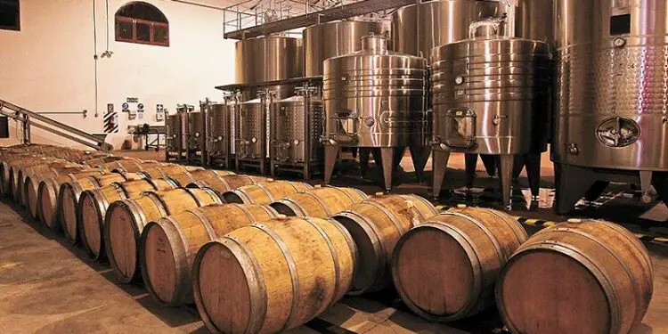 “Pagate o avveleno tutto”: minacce all’azienda vinicola pontina, hacker a processo
