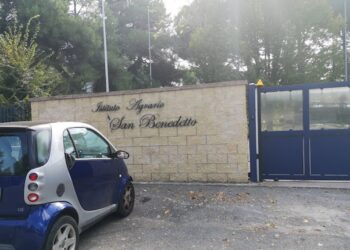 Lutto nel mondo della scuola pontina: scomparsa Cristiana Angiello, docente storica del San Benedetto di Latina