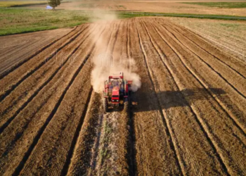 Ritrovamento inaspettato: mentre ara il campo a Sabaudia, spunta una pistola