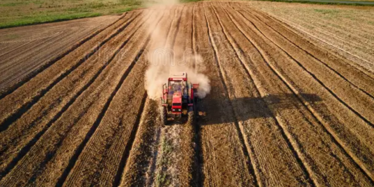 Ritrovamento inaspettato: mentre ara il campo a Sabaudia, spunta una pistola