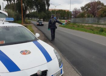 Multe codice della strada a Cisterna: ecco quanto ha incassato il Comune nel 2024