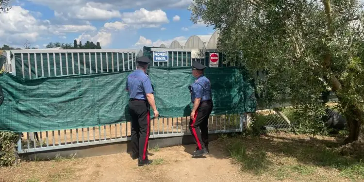 Azienda agricola pontina nei guai: 37mila euro di multa per irregolarità