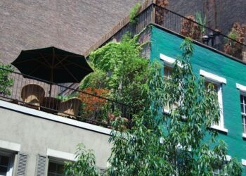 Giardini verticali e orti sul balcone: il verde conquista anche i piccoli spazi