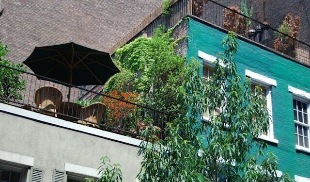 Giardini verticali e orti sul balcone: il verde conquista anche i piccoli spazi