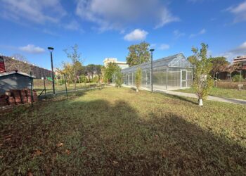Latina, rilancio per il Parco ex Evergreen: la gestione ventennale passa a un’azienda del capoluogo