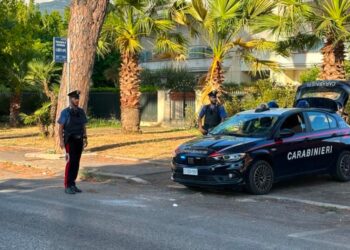 Latina, fermati al posto di blocco con la droga: un 19enne e una 20enne nei guai