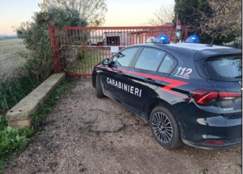 Pontinia sotto shock: 36enne ucciso e abbandonato in strada, arrestato il presunto killer