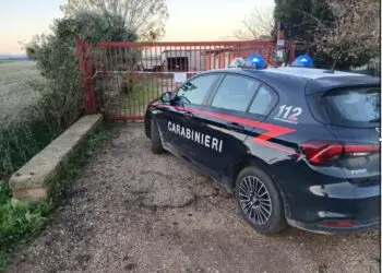 Pontinia sotto shock: 36enne ucciso e abbandonato in strada, arrestato il presunto killer
