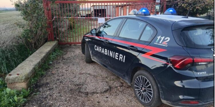 Pontinia sotto shock: 36enne ucciso e abbandonato in strada, arrestato il presunto killer