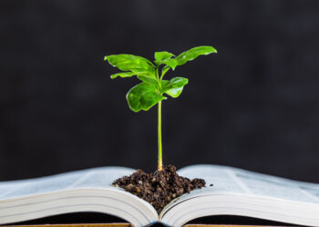 Latina avrà la Facoltà di Agraria: via libera ai fondi regionali per la nuova sede