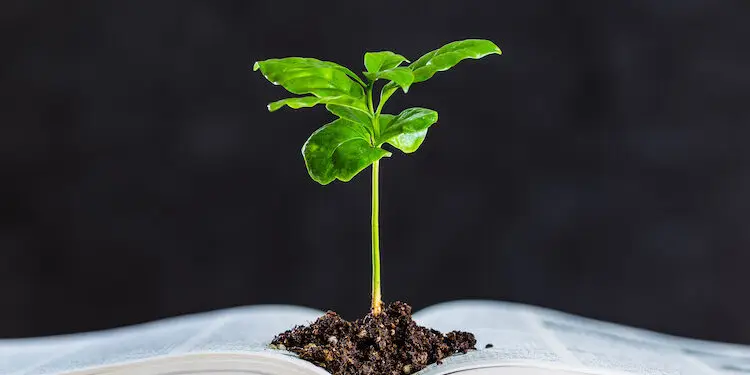 Latina avrà la Facoltà di Agraria: via libera ai fondi regionali per la nuova sede