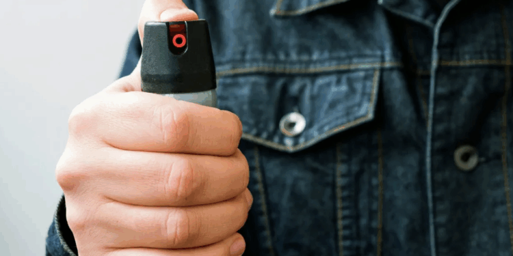 Nuova escalation di furti a Latina: ladri in fuga usano lo spray al peperoncino contro i proprietari