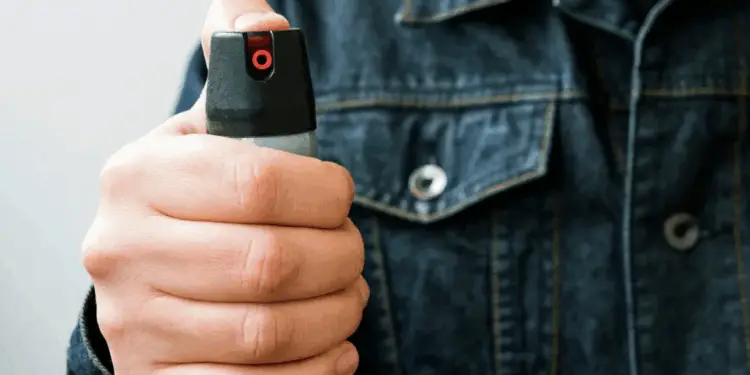 Nuova escalation di furti a Latina: ladri in fuga usano lo spray al peperoncino contro i proprietari