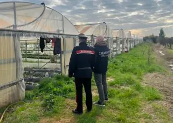 Controlli anti-caporalato in provincia di Latina: azienda agricola nei guai, multa da 45mila euro