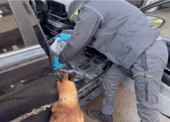 Viaggiava con 23 chili di cocaina purissima: blitz della Finanza, arrestato 30enne di Latina VIDEO