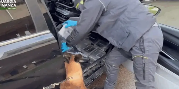 Viaggiava con 23 chili di cocaina purissima: blitz della Finanza, arrestato 30enne di Latina VIDEO