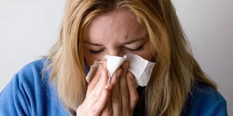 Allergia alla polvere o rinite allergica? Come riconoscerle e gestirle