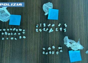 Spaccio nel parco, blitz della Polizia pontina: due arresti e 49 dosi di cocaina sequestrate