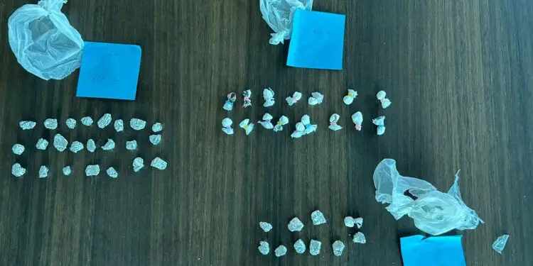 Spaccio nel parco, blitz della Polizia pontina: due arresti e 49 dosi di cocaina sequestrate