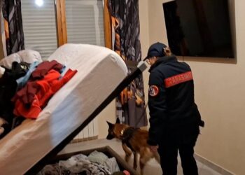 Droga, armi ed estorsioni: operazione della DDA tra Aprilia, Cisterna e Nettuno. 19 misure cautelari