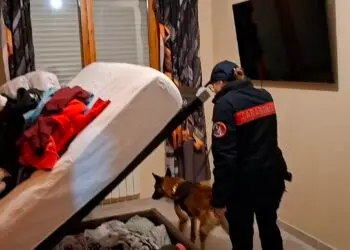 Droga, armi ed estorsioni: operazione della DDA tra Aprilia, Cisterna e Nettuno. 19 misure cautelari