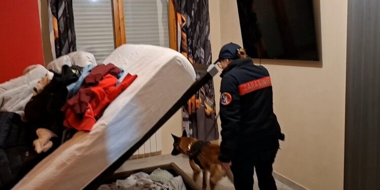 Droga, armi ed estorsioni: operazione della DDA tra Aprilia, Cisterna e Nettuno. 19 misure cautelari