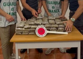 Droga nascosta in una grotta sommersa a Ponza: sequestrati 40 chili di hashish