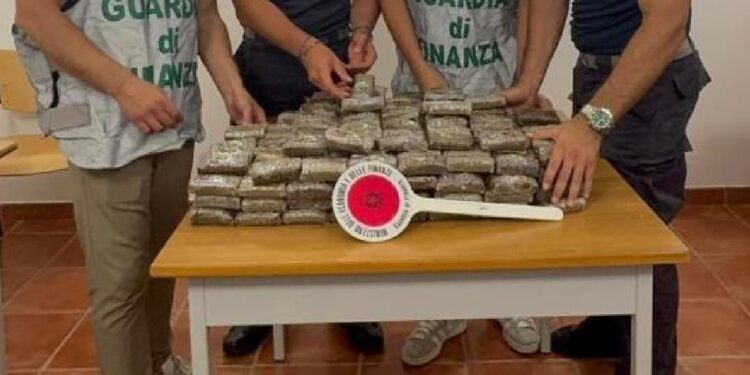 Droga nascosta in una grotta sommersa a Ponza: sequestrati 40 chili di hashish