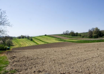 Consolidamento dei terreni agricoli: le nuove tecniche per contrastare l’erosione delle colline