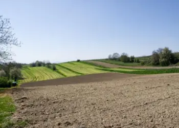 Consolidamento dei terreni agricoli: le nuove tecniche per contrastare l’erosione delle colline