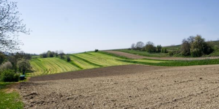 Consolidamento dei terreni agricoli: le nuove tecniche per contrastare l’erosione delle colline