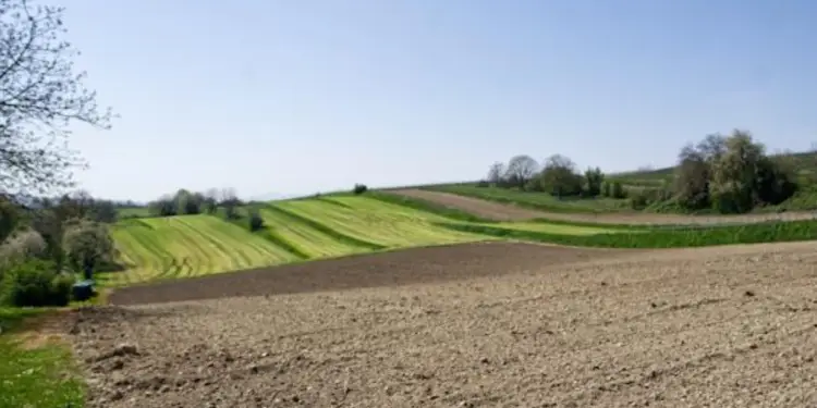 Consolidamento dei terreni agricoli: le nuove tecniche per contrastare l’erosione delle colline