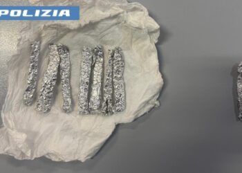 Il cane fiuta lo stupefacente in via Don Morosini: hashish nello zaino di un giovane e sotto il fogliame