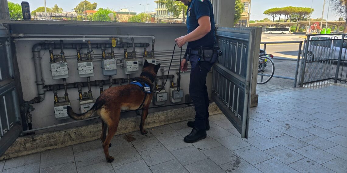 Cani antidroga in azione a Latina: due giovani segnalati e marijuana sequestrata
