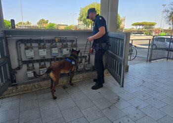 Cani antidroga in azione a Latina: due giovani segnalati e marijuana sequestrata