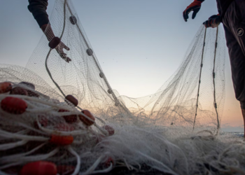 Nel mare pontino riaffiora un’ala di aereo militare: il ritrovamento dei pescatori diventa un enigma