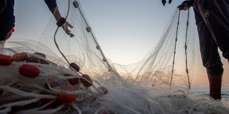 Nel mare pontino riaffiora un’ala di aereo militare: il ritrovamento dei pescatori diventa un enigma