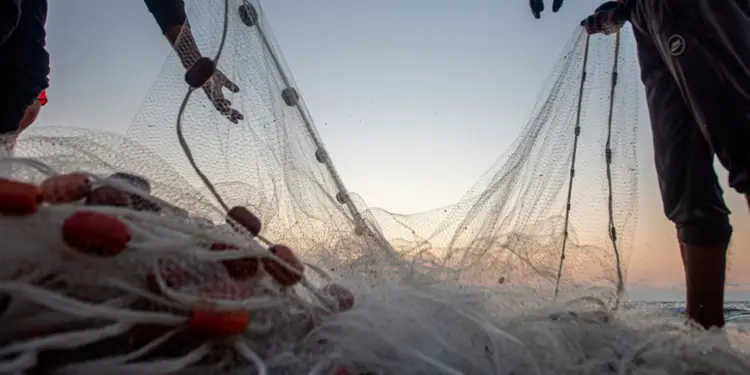 Nel mare pontino riaffiora un’ala di aereo militare: il ritrovamento dei pescatori diventa un enigma