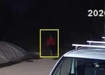 “Stava andando verso casa con la benzina, poi la folle fuga in auto”: l’allarme di una lettrice di Latina