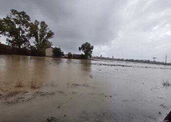 Alluvione a Latina, fango e rabbia a Pantanaccio: «Anni di segnalazioni nel vuoto, adesso basta!»